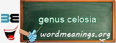 WordMeaning blackboard for genus celosia